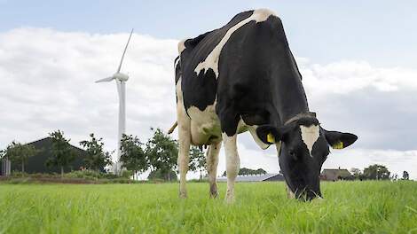 FrieslandCampina keert 245 miljoen uit voor duurzaamheid