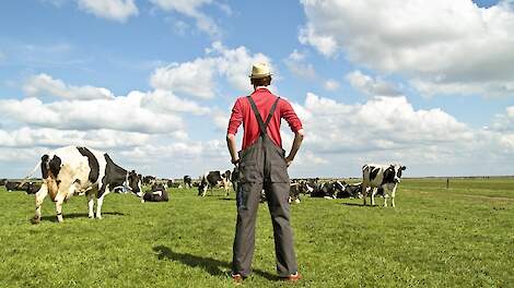 Een goede boterham verdienen met natuurinclusieve melkveehouderij