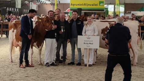 Aalshorst Rody imponeert in Mariënheem