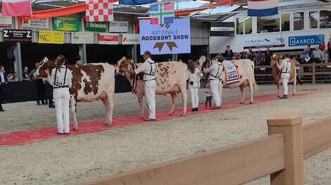 Fotoserie: Indrukwekkende Nationale Roodbont Show