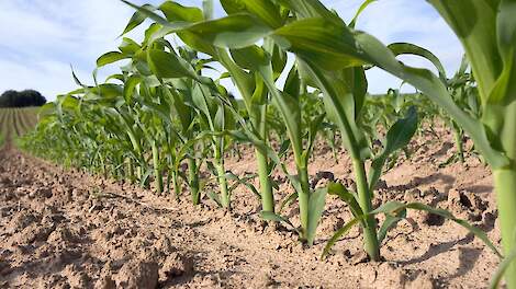 Agrility ook ideaal bij aankooppercelen