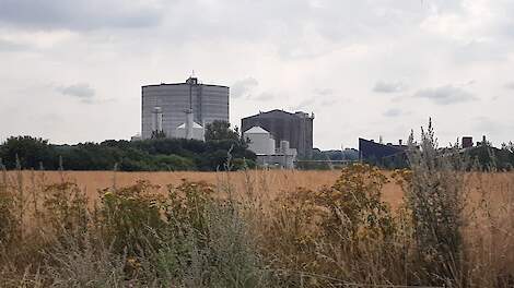 Deense melkveehouders moeten gaan betalen voor CO2-uitstoot