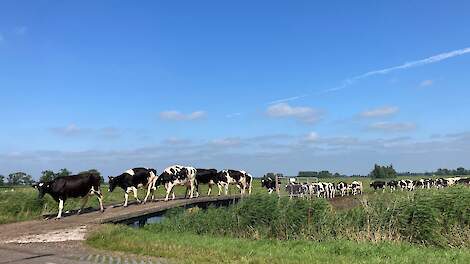 Subsidie ‘Behoud grasland bij afbouw derogatie’ vanaf 15 juli