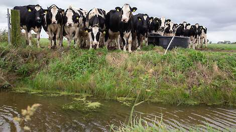 Nitraat in grondwater daalt weer op derogatiebedrijven