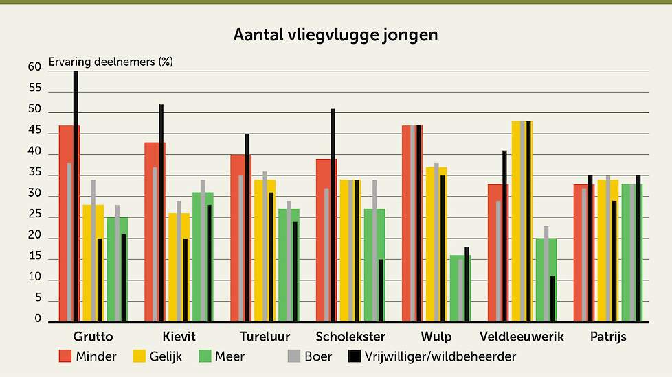 Aantal vliegvlugge jongen