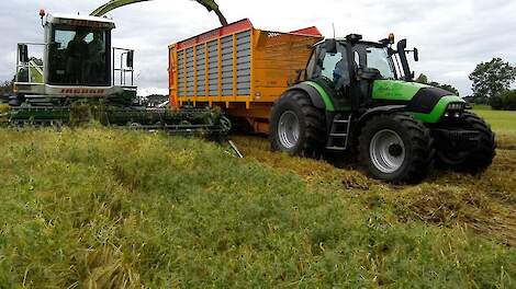 Combinatie gerst-erwten pakt gunstig uit in proef