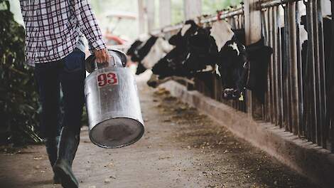 Vergoeding voor verlies melkproductie op vogelgriep-bedrijven VS