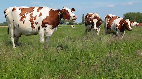 FrieslandCampina en Mars gaan uitstoot broeikasgassen verminderen, extra beloning voor leden