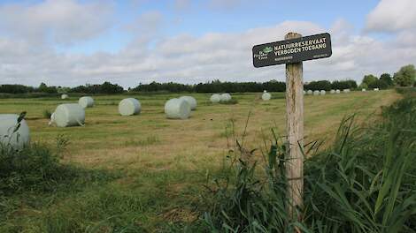 ‘Natuurgrond beheren is een mijnenveld’