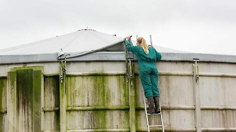 Tips voor het verbeteren van je mestkwaliteit