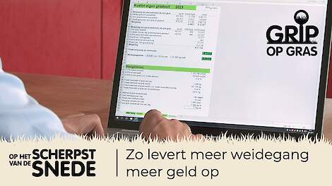 Video: Zo levert meer weidegang meer geld op