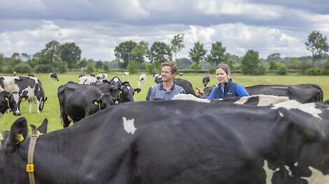 Wat is de relatie tussen hittestress en mastitis?