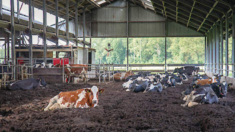 Efficiënt boeren met oog voor de omgeving