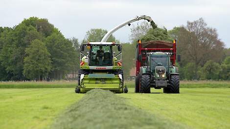 Vroege zomerkuil bevat weinig eiwit en veel suiker