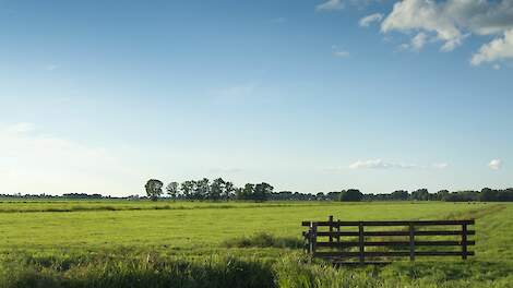 Met korting kruidenrijk grasland inzaaien