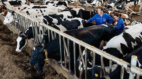 Van Data naar Dierwelzijn: Bedrijfsvoering met Smart Farming