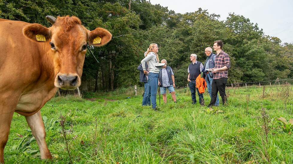 Demodag 2023: rondleiding tussen nieuwsgierige (biologische) Jerseykoeien bij melkveebedrijf Sprangers