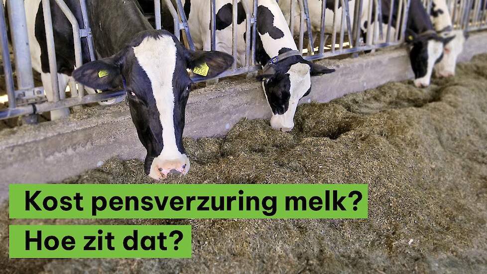 Kost pensverzuring melk: hoe zit dat?