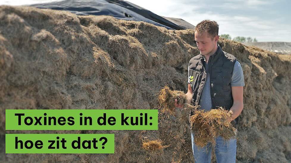 Toxines in de kuil: hoe zit dat?