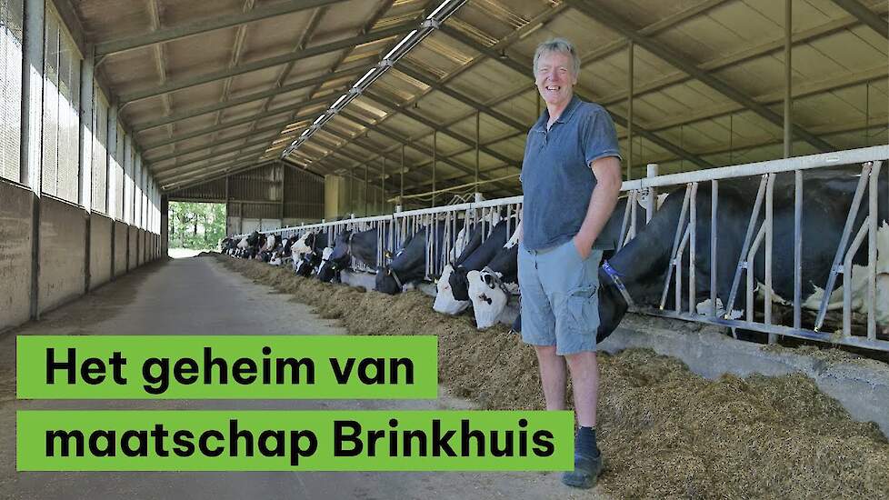 Het geheim van maatschap Brinkhuis in Zwiggelte - #1