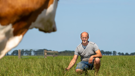 Melkveehouder Peter Wouters: ‘Ik heb het liefst zeven dagen mooi weer voor goed droog hooi’