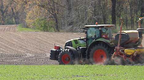 Stikstofnorm voor groenbemesters