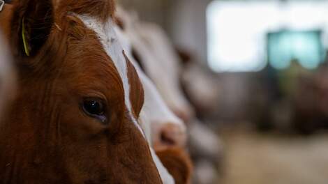 ‘Boer moet produceren binnen grenzen van natuur en klimaat’