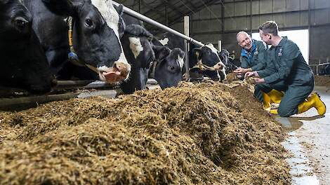 Nieuw kengetal vervangt meetmelk