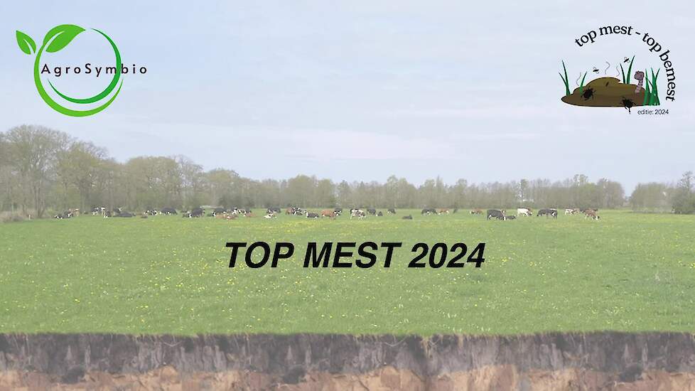 Top Mest 2024