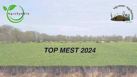 Top Mest 2024