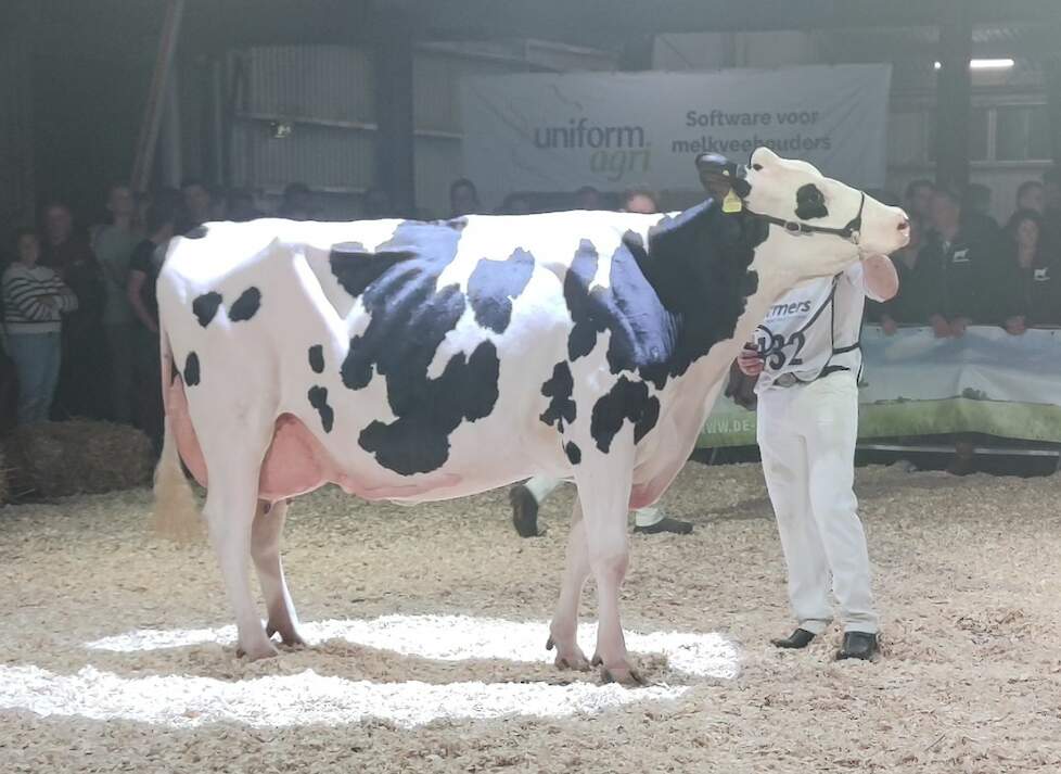 Truus 1136 van Zomer pakte de 1A-positie in de derde rubriek en werd reservekampioene in de middenklasse.