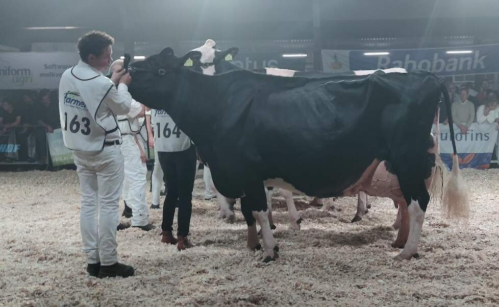 Geertje 669 van de familie Hammink won de productieklasse voor haar roodbonte stalgenoot Geertje 603.