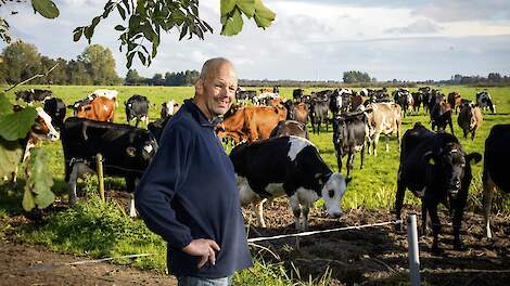 Laag ureumgetal realiseren via het totaalplaatje