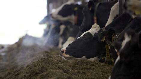 Handhaving fosfaatrechten en mogelijke boete