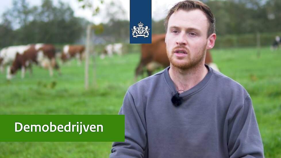 Demobedrijf Melkveebedrijf Van Zandbrink, Boerderij tussen de Hagen (Stoutenburg)