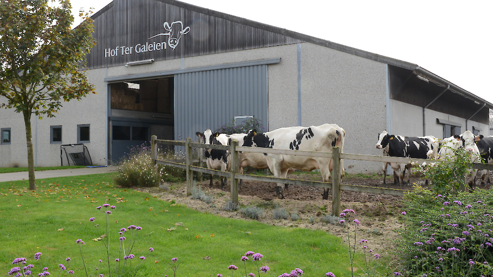 Uitloop close-up groep Hof ter Galeien