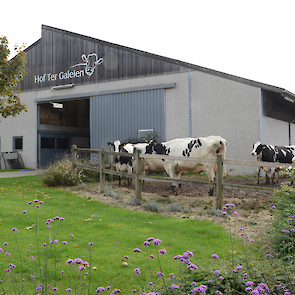 Uitloop close-up groep Hof ter Galeien