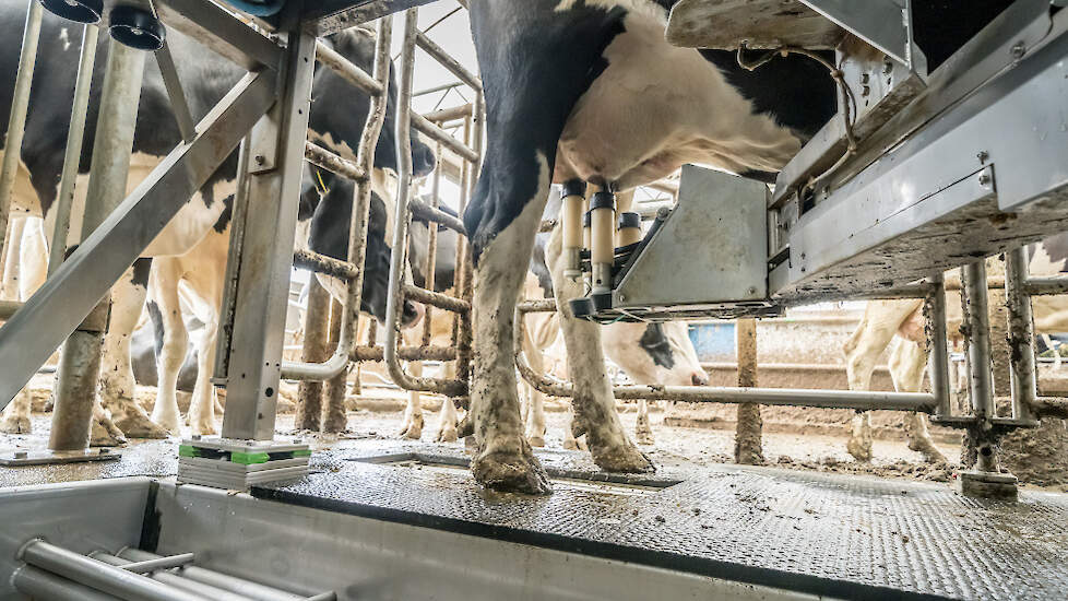 Robotmelken bij melkveehouders Bert en Rick Bos