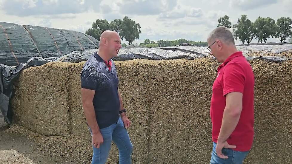 ‘Met 60/40 loopt het nog beter’ | Op bezoek bij Melkveebedrijf Vijverberg in Strijen | LG Seeds