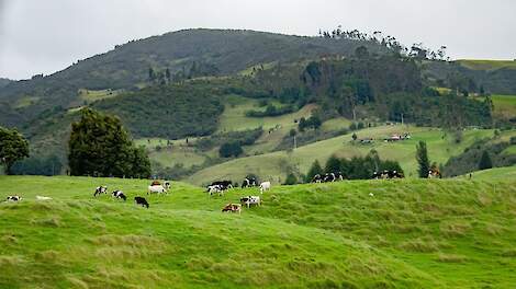 Iers zuivelbedrijf Kerry Dairy komt in boerenhanden