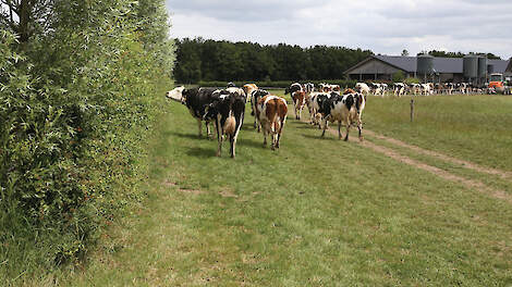 Nieuw plan Urgenda beloont omschakelen naar natuurinclusief