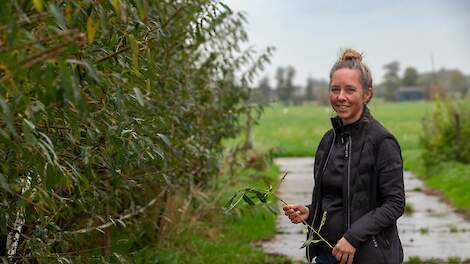 'Bomen en struiken hebben een voedingswaarde die in de zomer 5 procent van het rantsoen bedraagt'