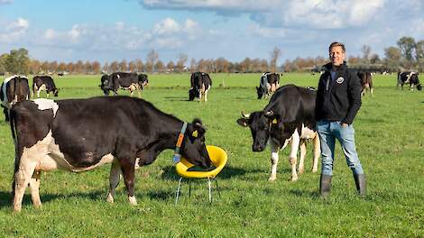 Jaaroverzicht oktober: ‘Aan de vooravond van een derde wereldoorlog is het huidige uitkoopbeleid van (melk)veebedrijven onhoudbaar!’