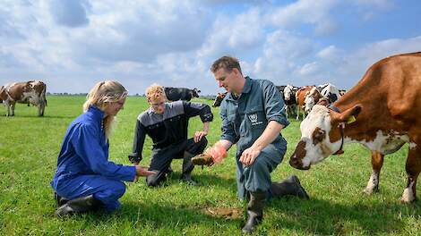 Fotoserie: Melkvee als kans voor bio-ondernemers Marieke en Maurice Olthuis