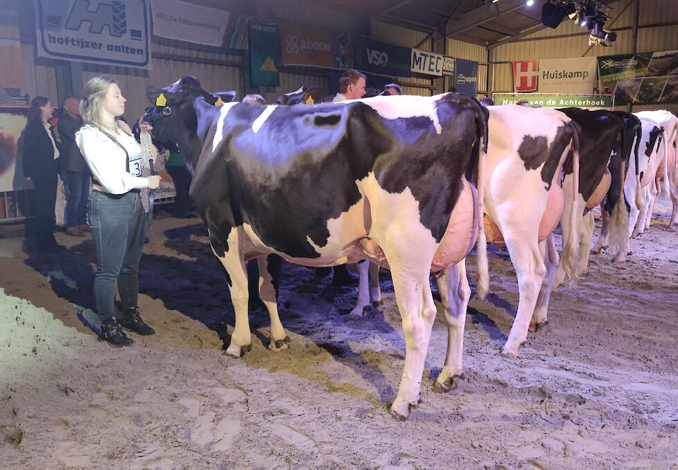 Bruninkweerd Elza 29 werd kampioene van de zwartbonte middenklasse.