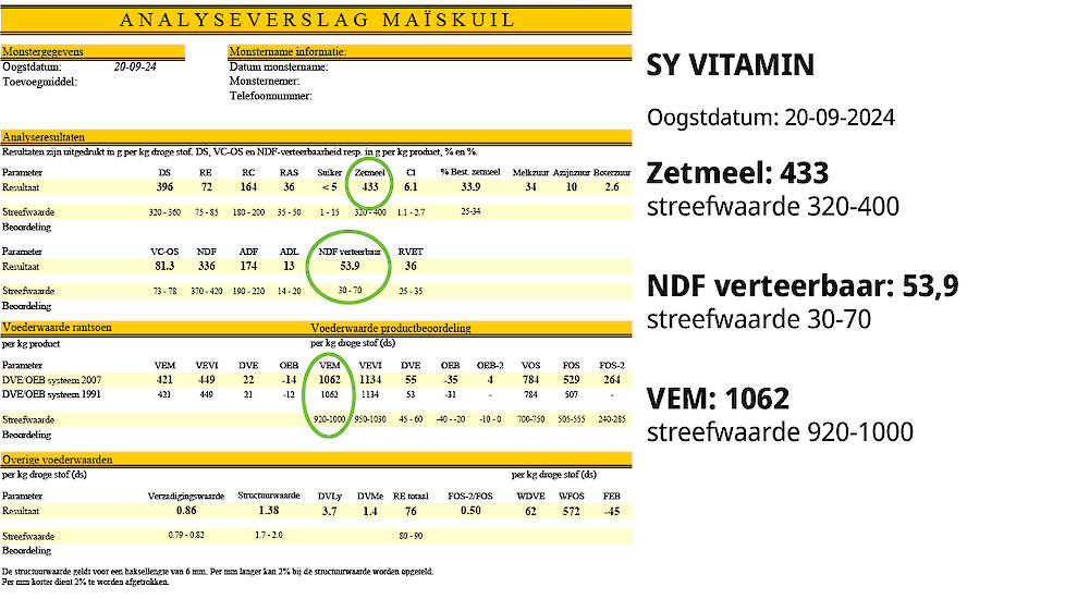 Gecombineerd met een zeer vroegrijpe kolf en sterke kop- en builenbrandtolerantie is SY VITAMIN het ras met de allerhoogste zetmeel per kilogram drogestof (106 gecorrigeerd naar 35% DS). SY VITAMIN is dit jaar nieuw aanbevolen op de Nederlandse Aanbevelen