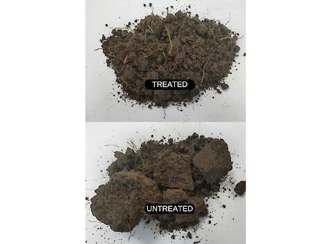 Verschil in bodemstructuur van behandelde bodem (boven) en onbehandelde bodem (onder)