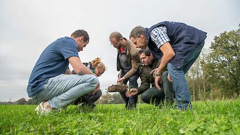 Meer biodiversiteit door licht bemesten van natuurland?