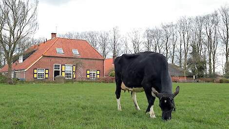 Inschrijving Beste Boerenkoeverkiezing verlengd tot 27 januari