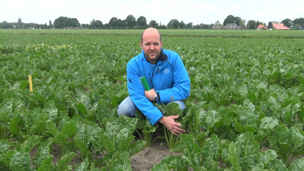 Sander Uwland (boven) en Sjors Leermakers (onder) zijn Crop Advisor bij Bayer. Voor wat betreft de Dekalb-maisrassen is Sjors het aanspreekpunt voor Zuid-Nederland (onder de grote rivieren) en Sander voor Noord-Nederland.